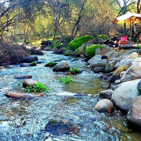 Magical River House ! 10 Min To Snp Park Entrance スリー・リバーズ エクステリア 写真